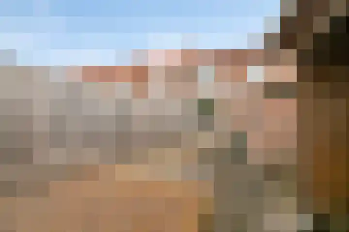 Hendrik Casimirlaan 25 Hulst thumbnail 25
