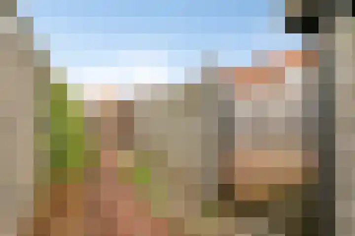 Hendrik Casimirlaan 25 Hulst thumbnail 26