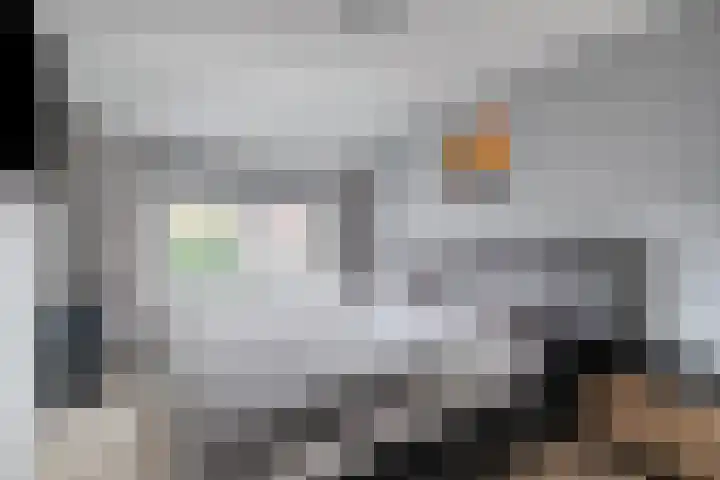 Hendrik Casimirlaan 25 Hulst thumbnail 4