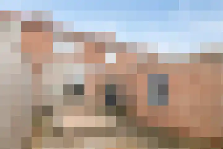 Hendrik Casimirlaan 25 Hulst thumbnail 5