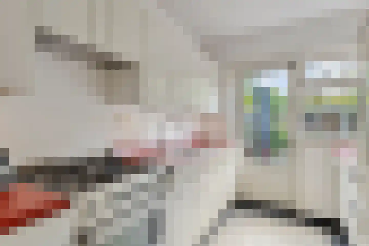 Hendrik Casimirstraat 2 A Eindhoven thumbnail 16