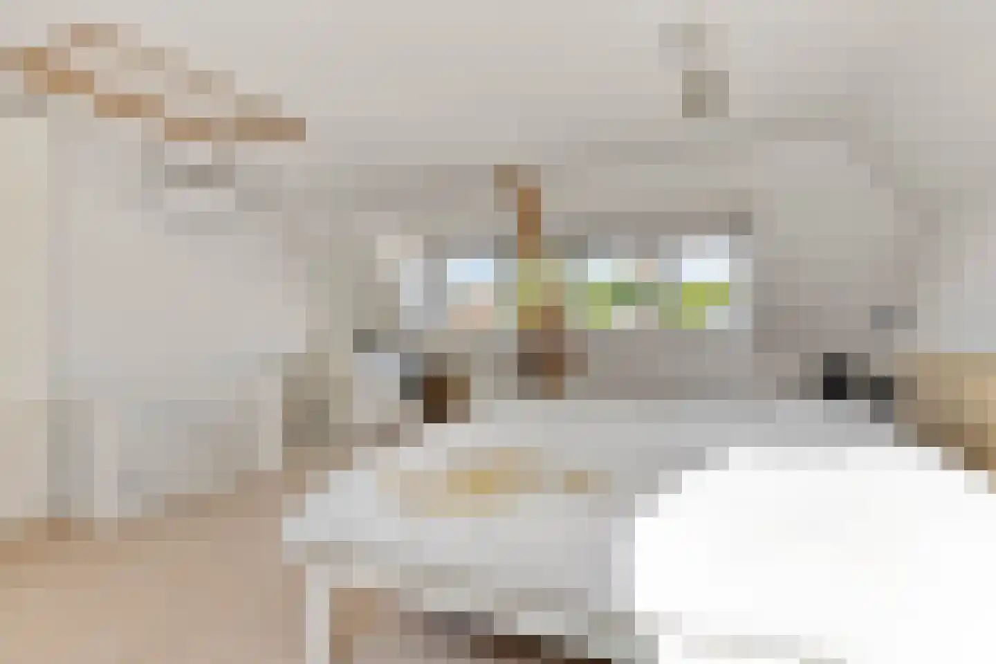 Hendrik Casimirstraat 2 A Eindhoven thumbnail 29