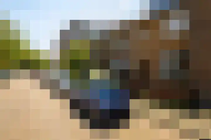 Hendrik Casimirstraat 20 Delft thumbnail 5