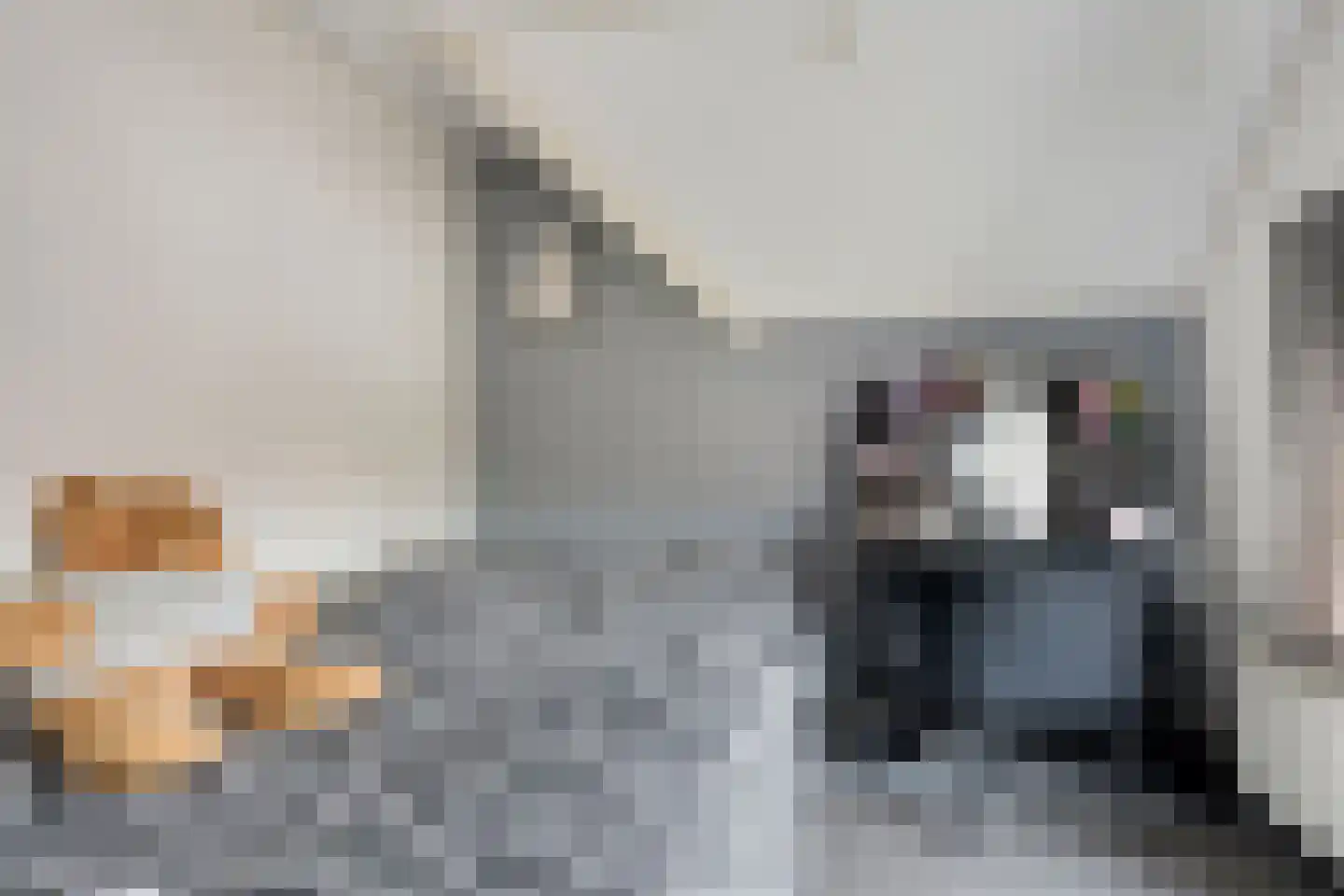 Hendrik Casimirstraat 3 Sneek thumbnail 22