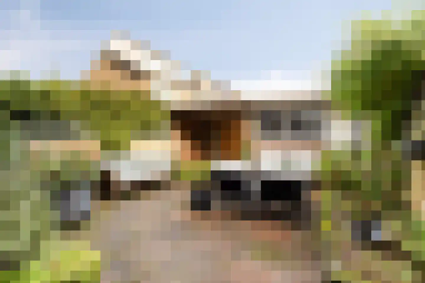 Hendrik Casimirstraat 38 Castricum thumbnail 14