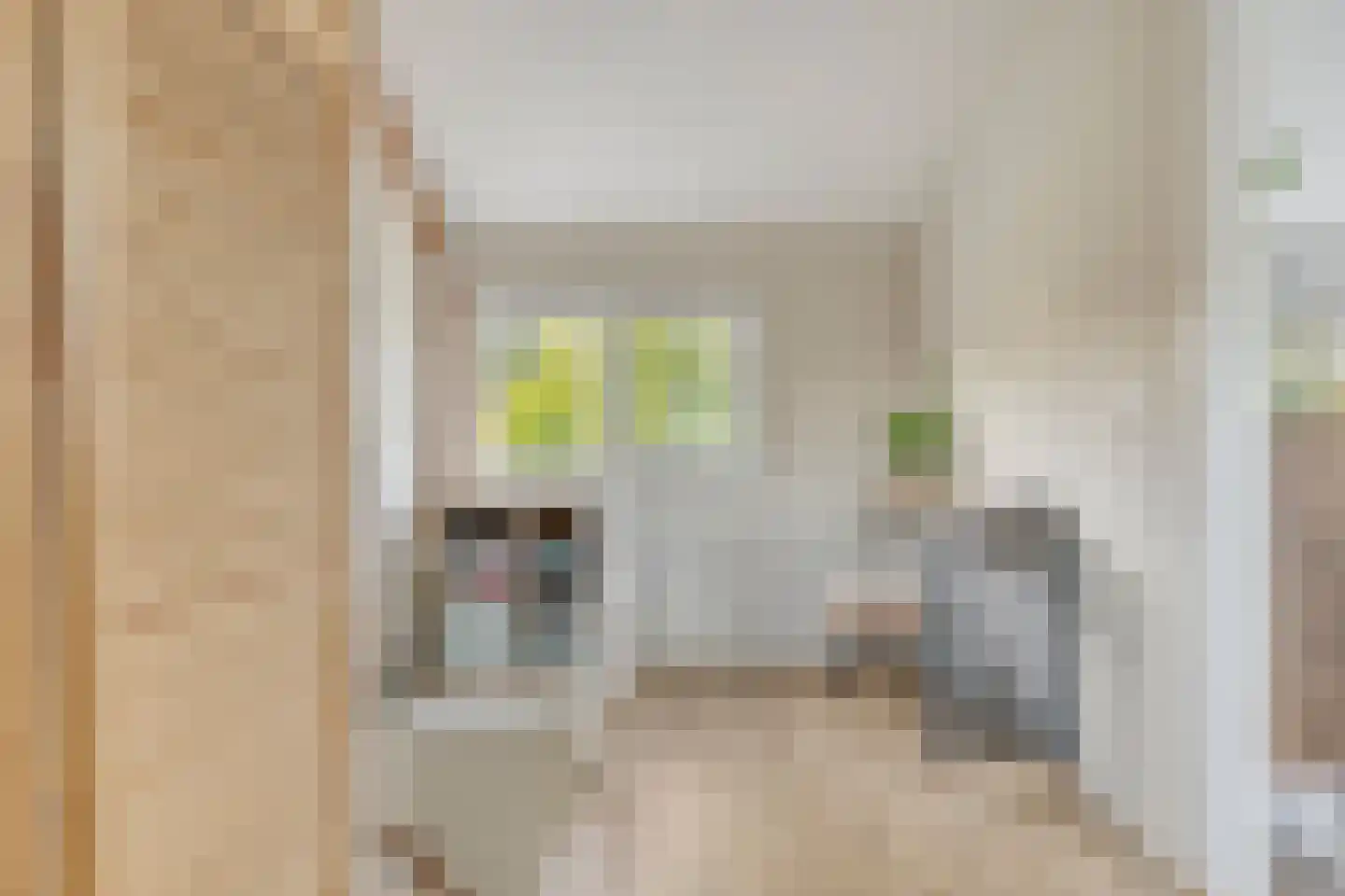 Hendrik Casimirstraat 38 Castricum thumbnail 26