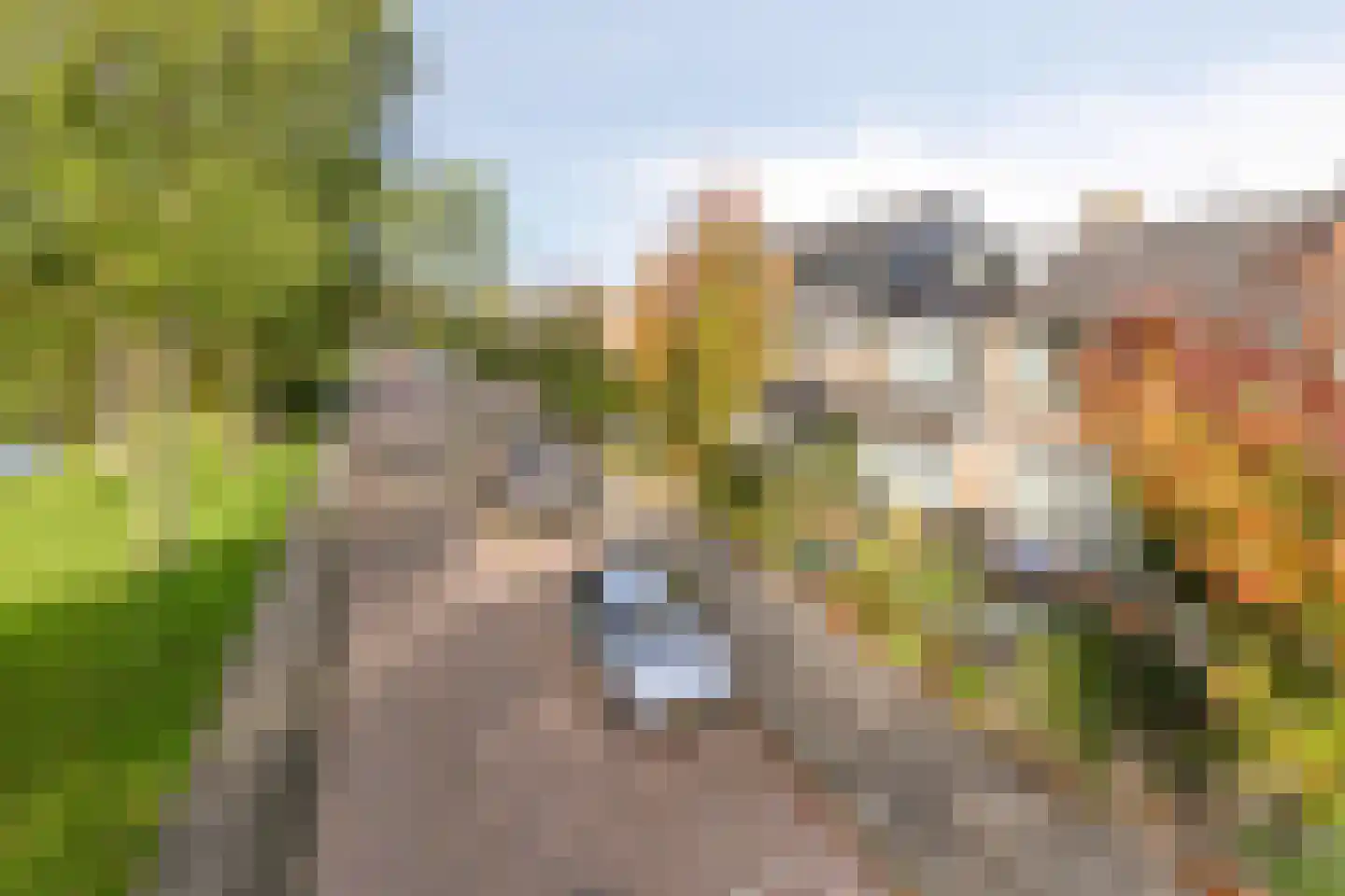 Hendrik Casimirstraat 38 Castricum thumbnail 31