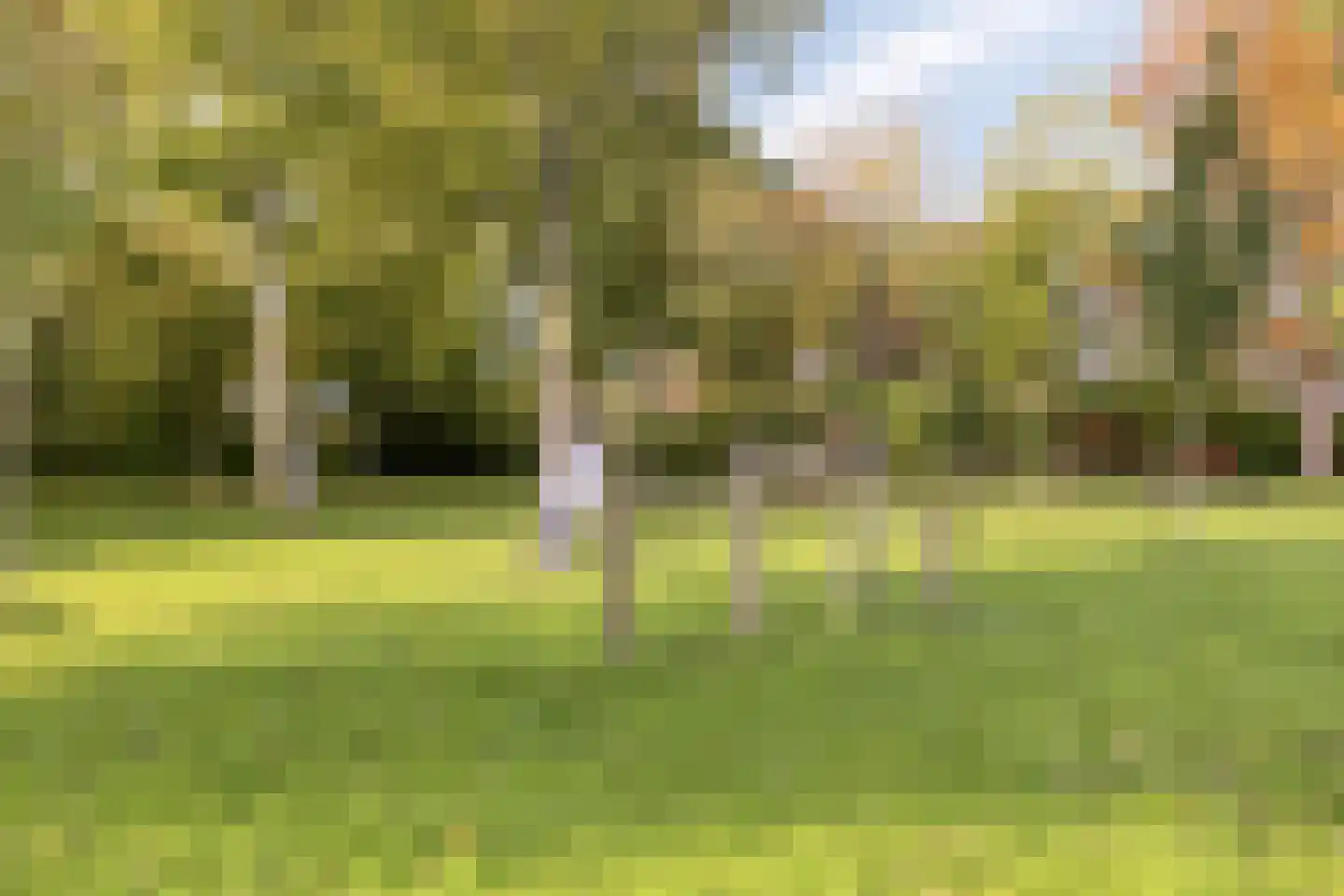 Hendrik Casimirstraat 38 Castricum thumbnail 36