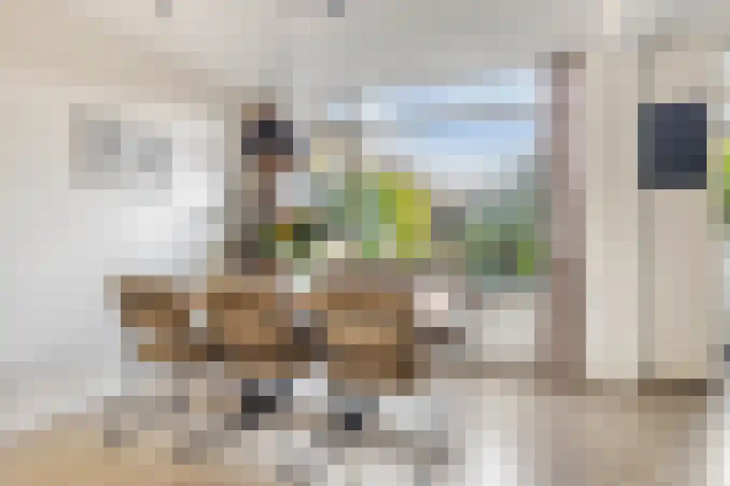 Hendrik Casimirstraat 38 Castricum thumbnail 7