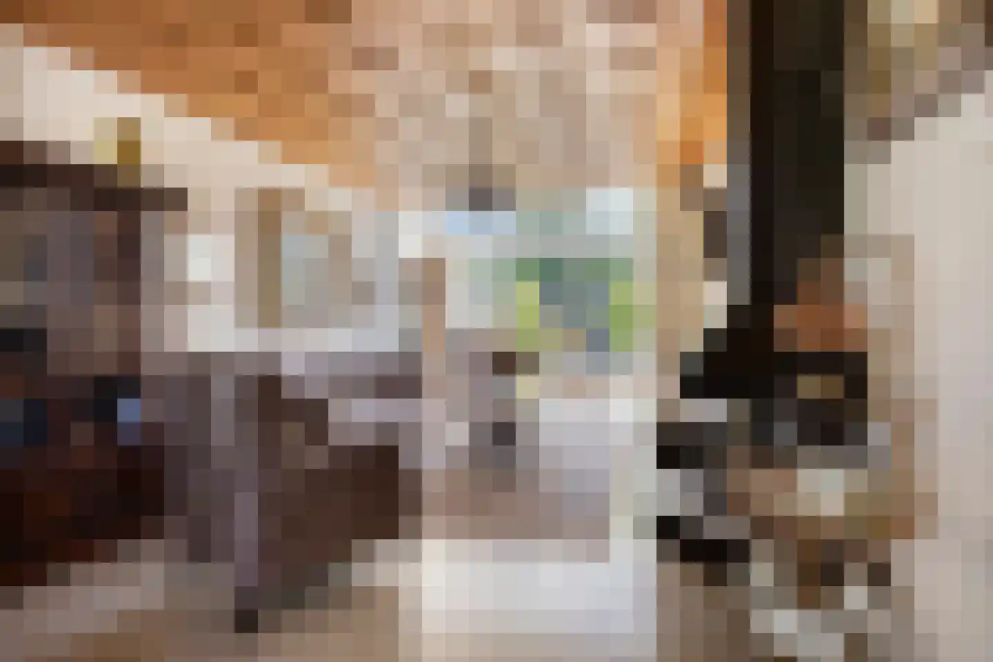 Hendrik Chabotlaan 17 Bergschenhoek thumbnail 10