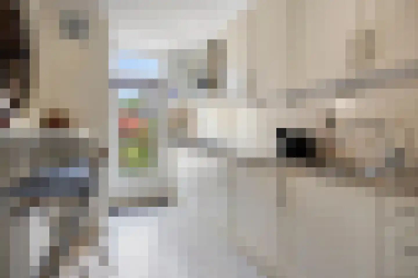 Hendrik Chabotlaan 17 Bergschenhoek thumbnail 14