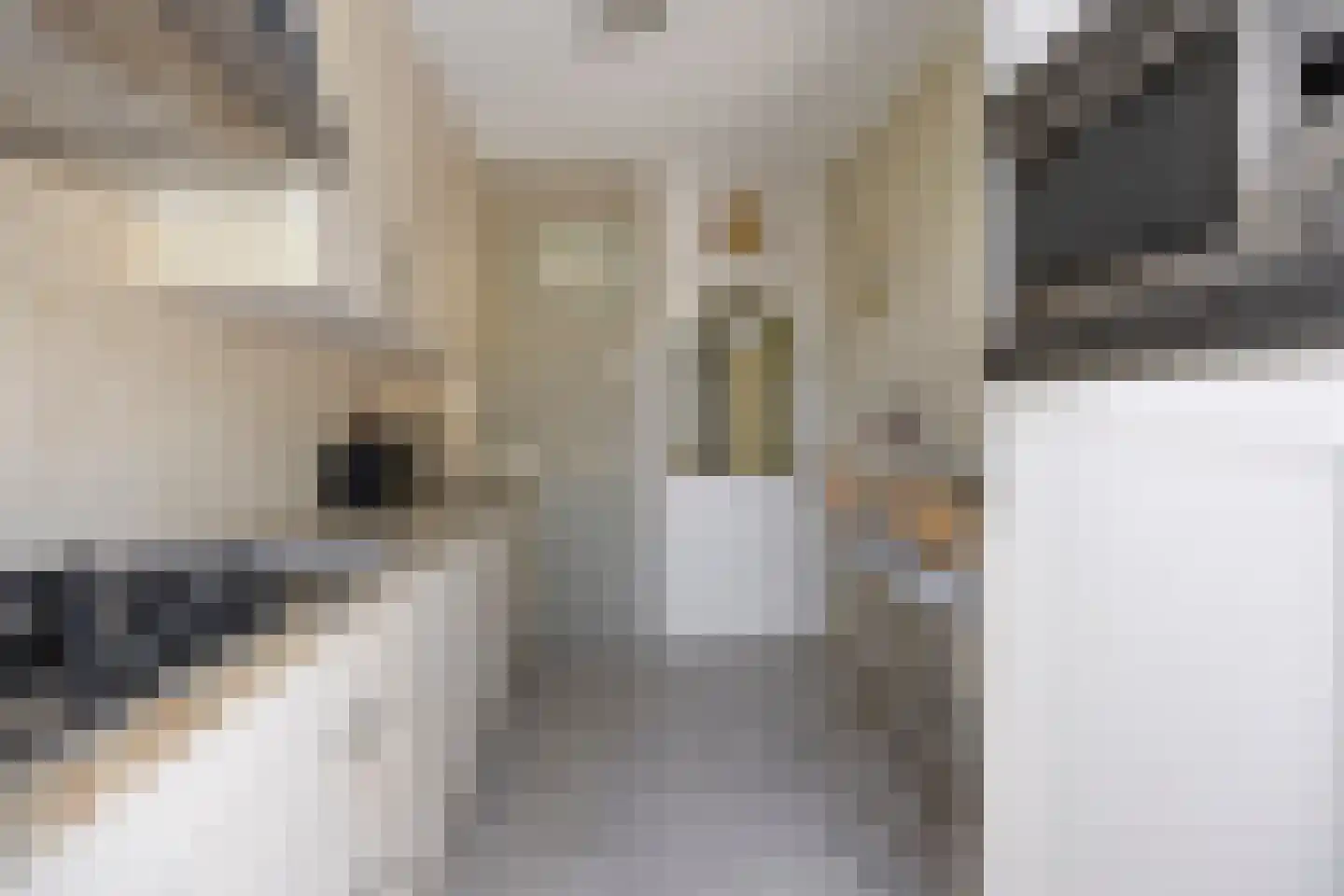 Hendrik Chabotlaan 17 Bergschenhoek thumbnail 15