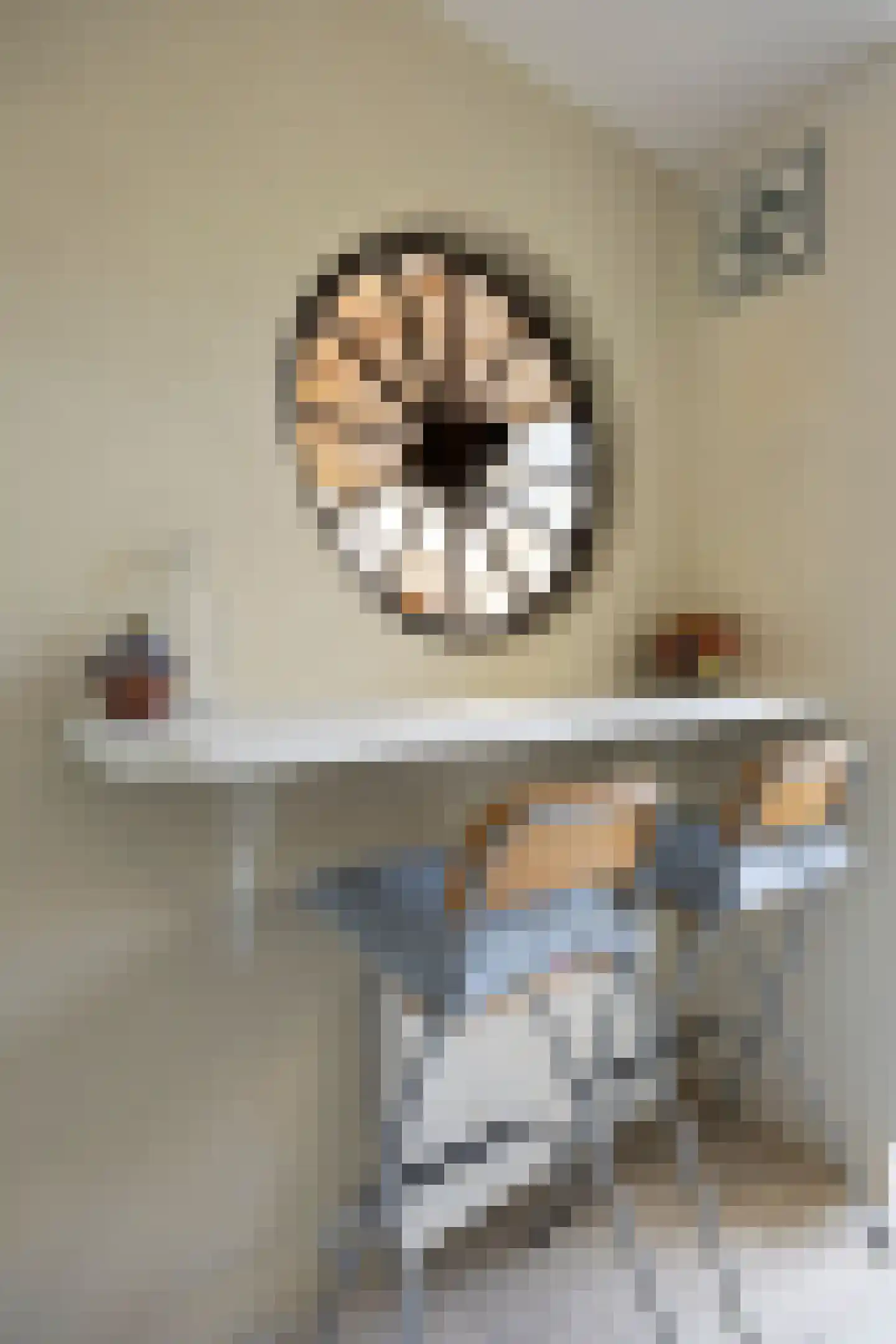 Hendrik Chabotlaan 17 Bergschenhoek thumbnail 16