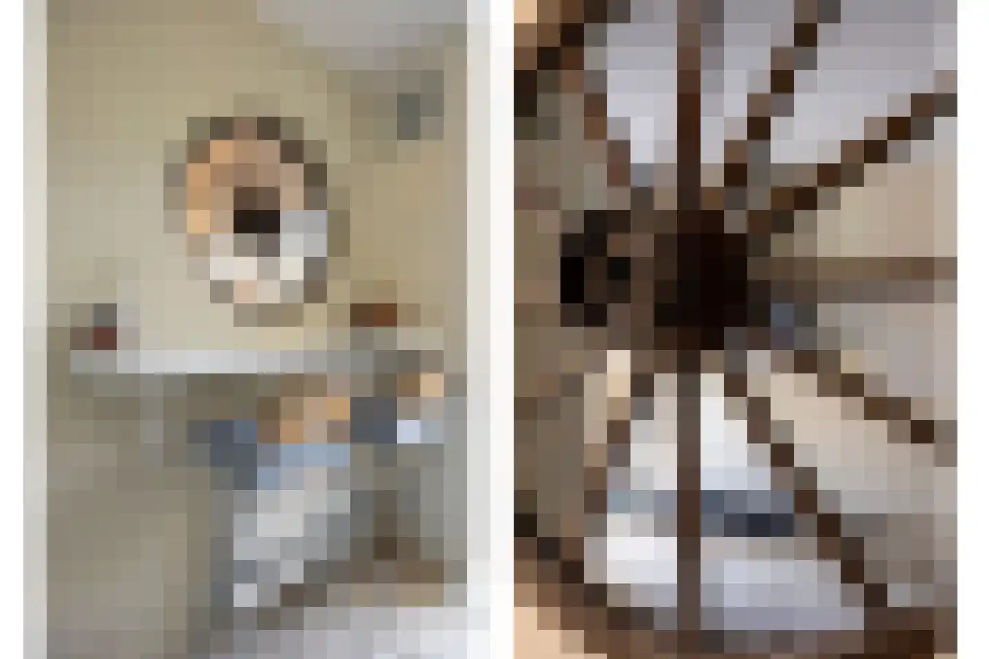 Hendrik Chabotlaan 17 Bergschenhoek thumbnail 17