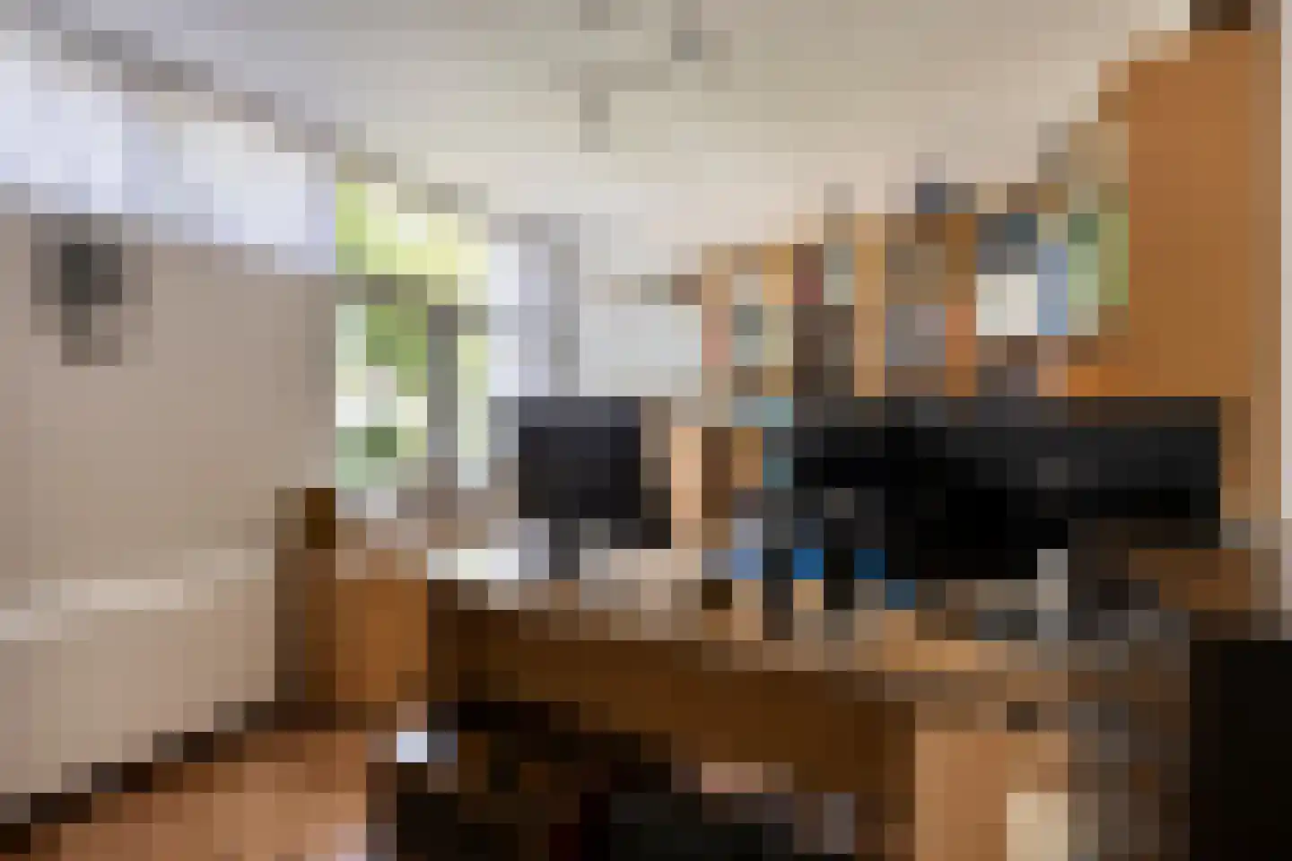 Hendrik Chabotlaan 17 Bergschenhoek thumbnail 31
