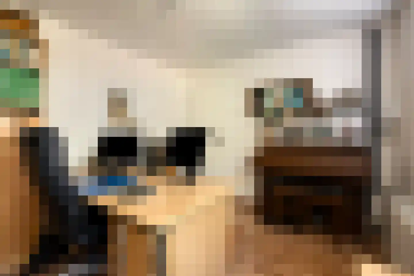 Hendrik Chabotlaan 17 Bergschenhoek thumbnail 32