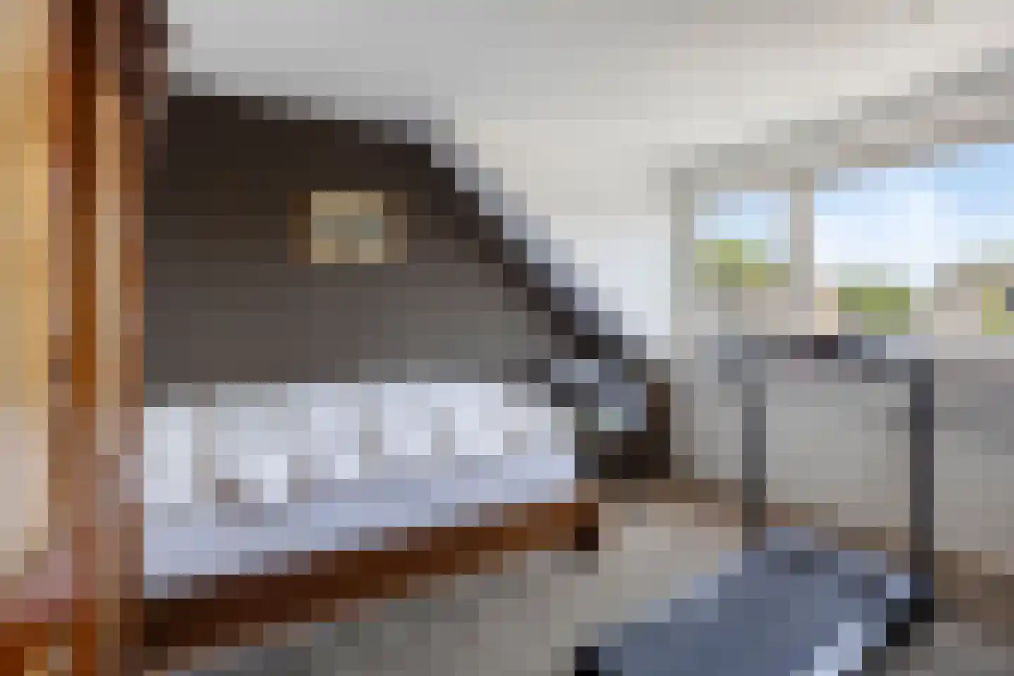 Hendrik Chabotlaan 17 Bergschenhoek thumbnail 35