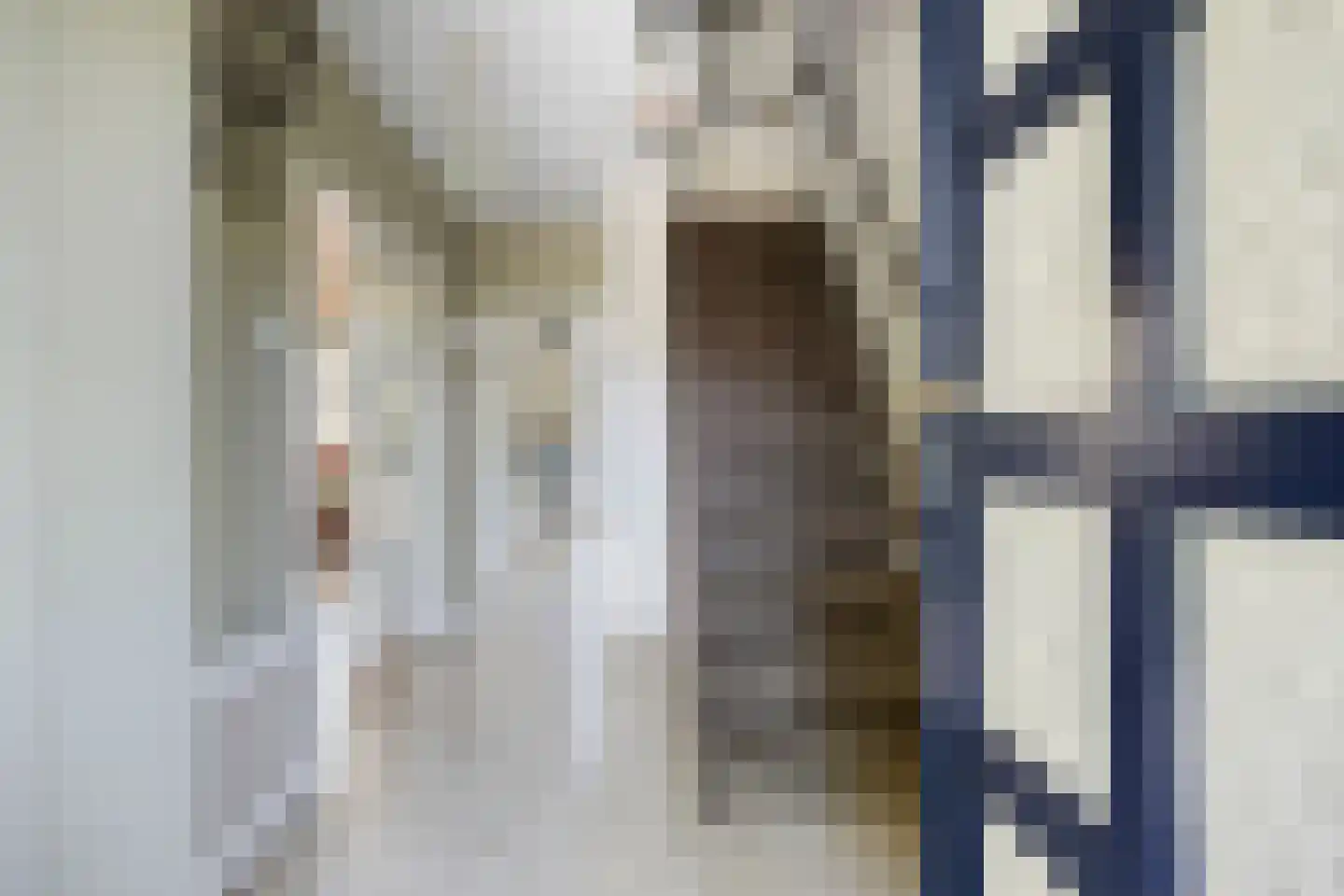 Hendrik Chabotlaan 17 Bergschenhoek thumbnail 4