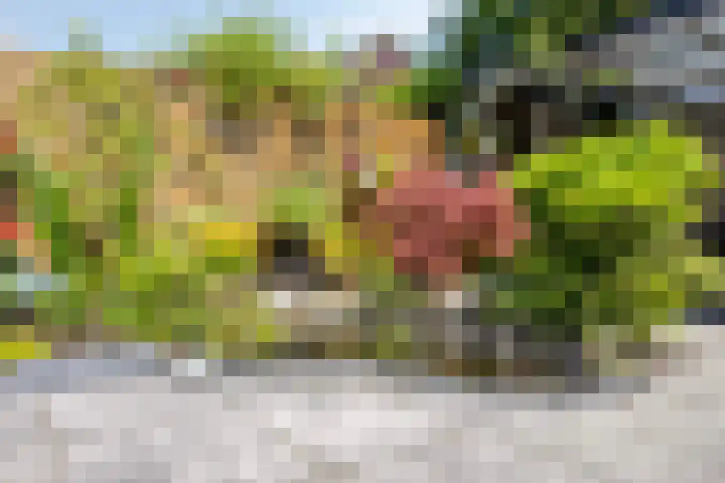 Hendrik Chabotlaan 17 Bergschenhoek thumbnail 45