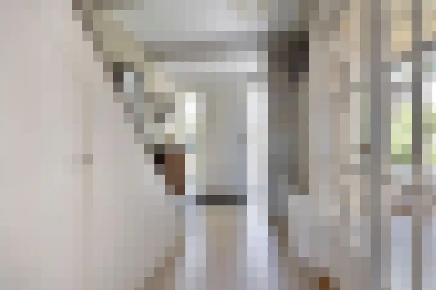 Hendrik Chabotlaan 17 Bergschenhoek thumbnail 6