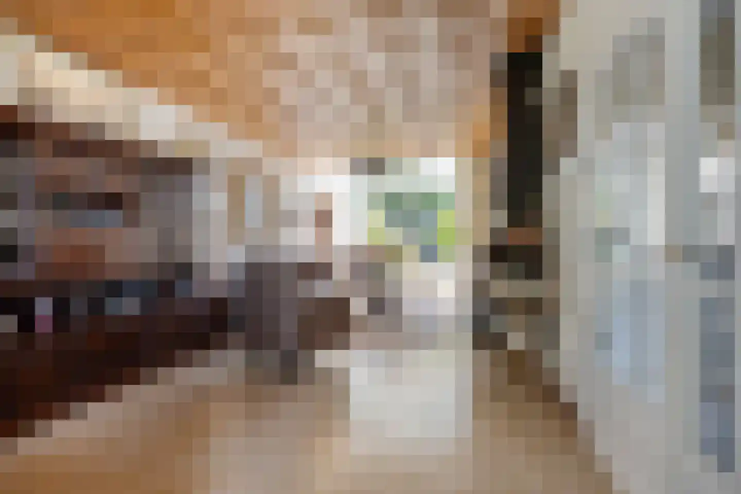 Hendrik Chabotlaan 17 Bergschenhoek thumbnail 7