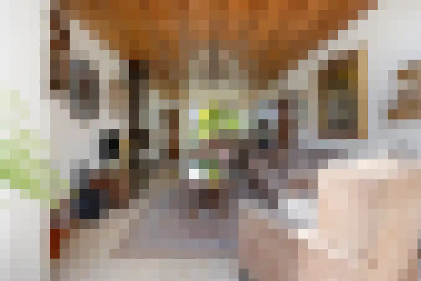 Hendrik Chabotlaan 17 Bergschenhoek thumbnail 9