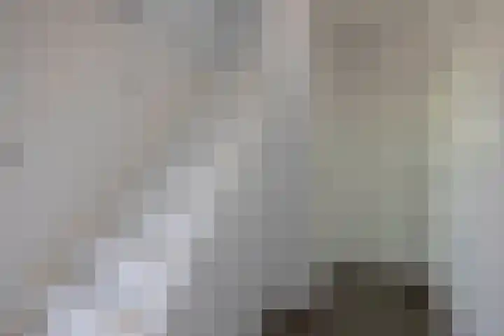 Hendrik Chabotlaan 39 Bergschenhoek thumbnail 11