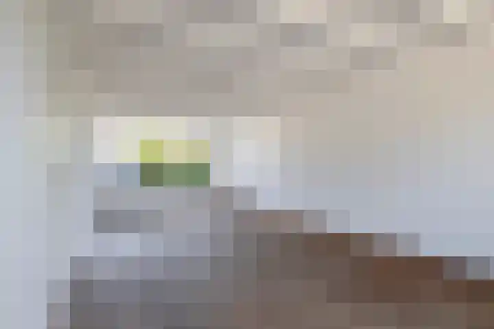 Hendrik Chabotlaan 39 Bergschenhoek thumbnail 14