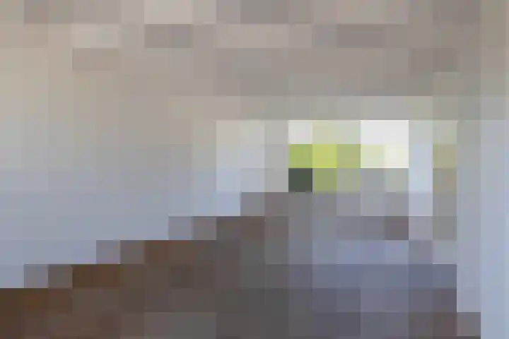 Hendrik Chabotlaan 39 Bergschenhoek thumbnail 17