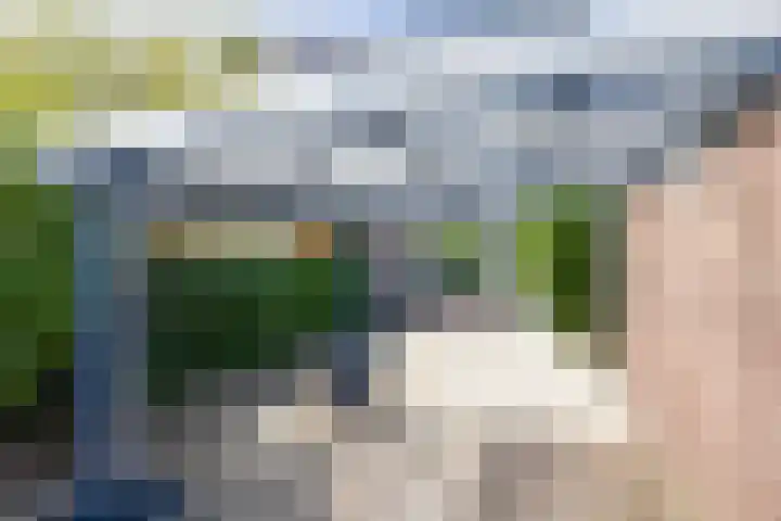 Hendrik Chabotlaan 39 Bergschenhoek thumbnail 38