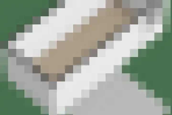 Hendrik Chabotlaan 39 Bergschenhoek thumbnail 44