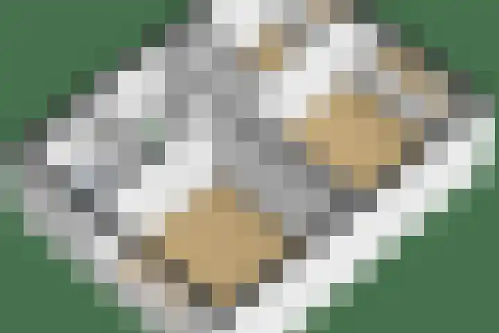 Hendrik Chabotlaan 39 Bergschenhoek thumbnail 46