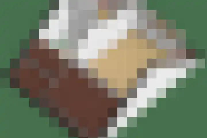 Hendrik Chabotlaan 39 Bergschenhoek thumbnail 50