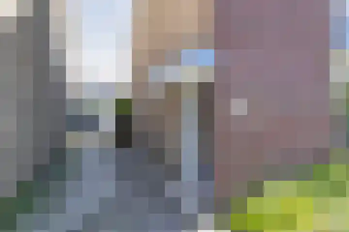 Hendrik Chabotlaan 39 Bergschenhoek thumbnail 9