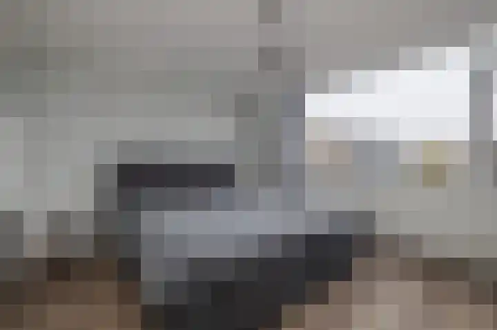 Hendrik Chabotlaan 43 Bergschenhoek thumbnail 10