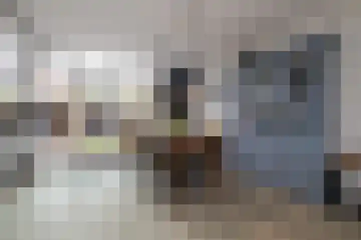 Hendrik Chabotlaan 43 Bergschenhoek thumbnail 4
