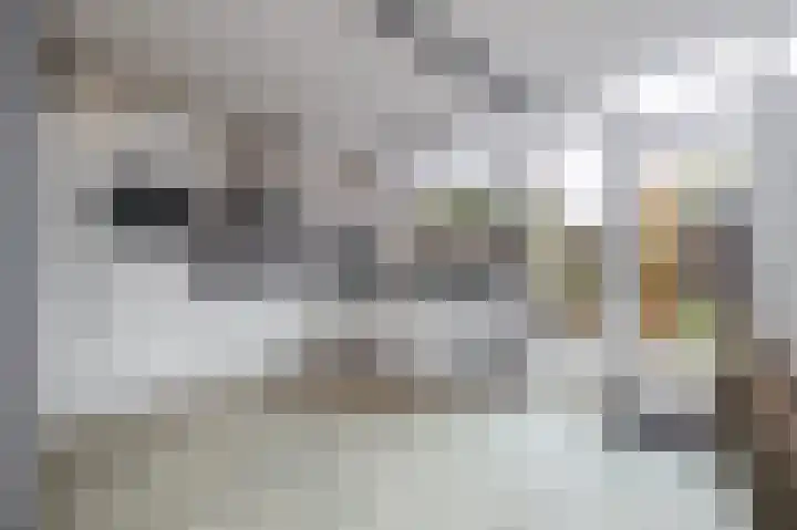 Hendrik Chabotlaan 43 Bergschenhoek thumbnail 5