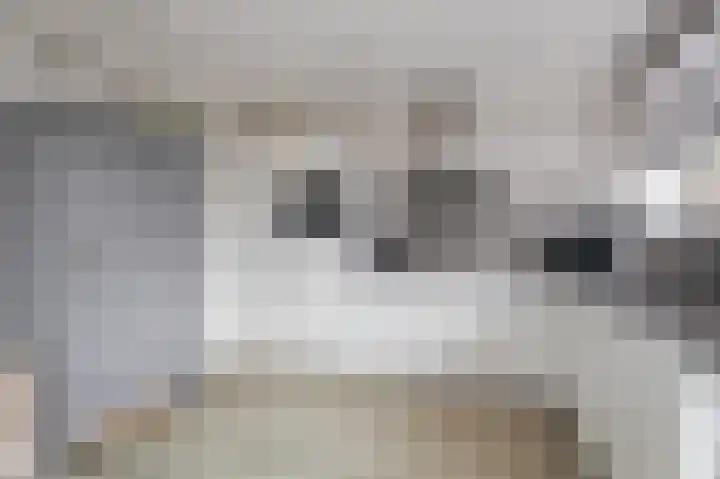 Hendrik Chabotlaan 43 Bergschenhoek thumbnail 6