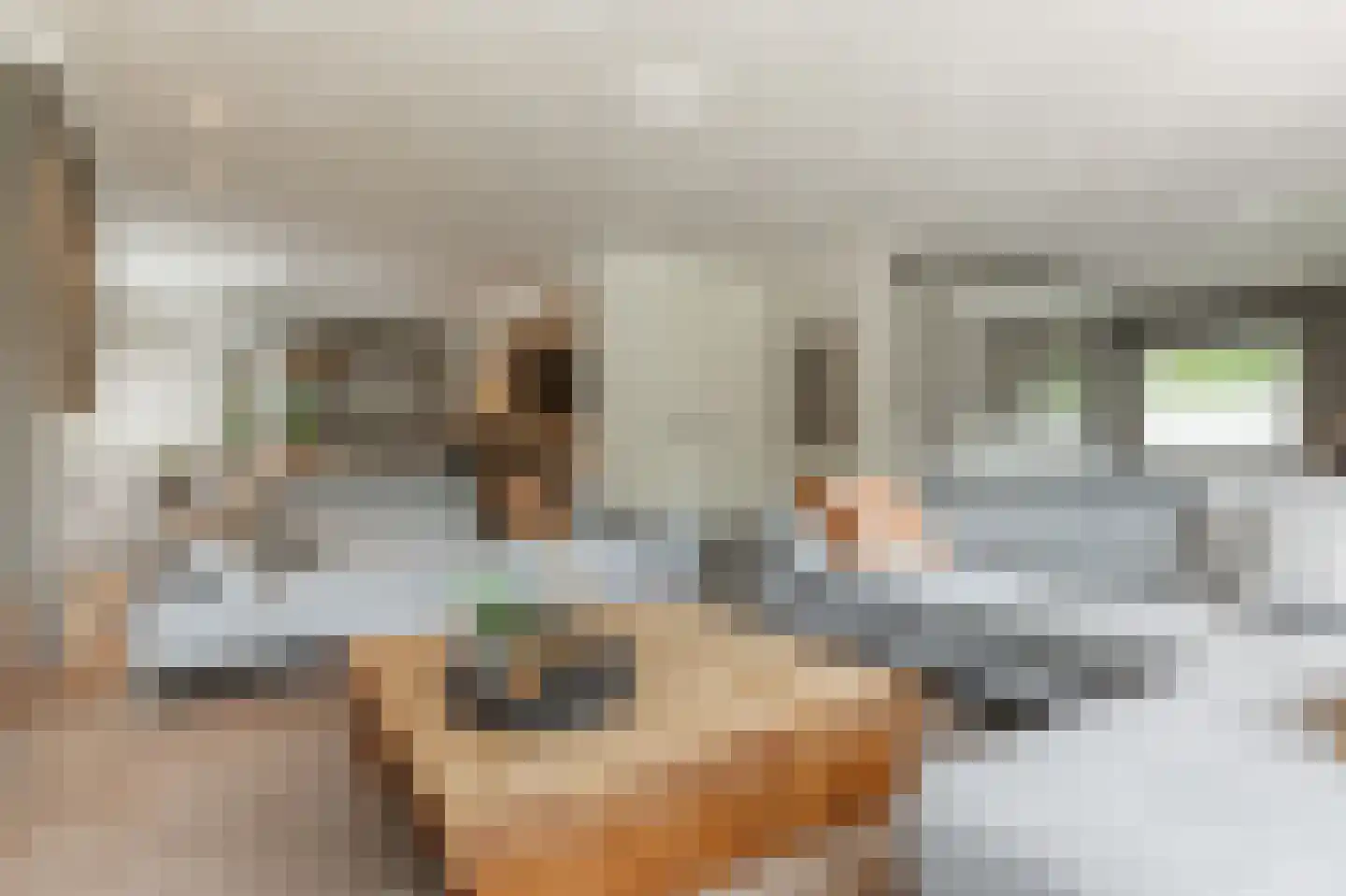 Hendrik Chabotstraat 1 Waalwijk thumbnail 17