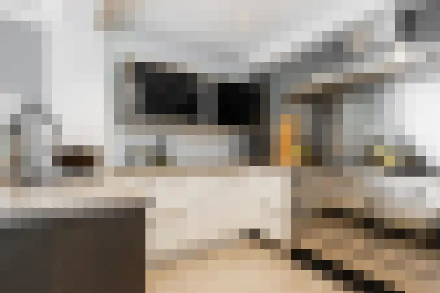Hendrik Chabotstraat 1 Waalwijk thumbnail 23