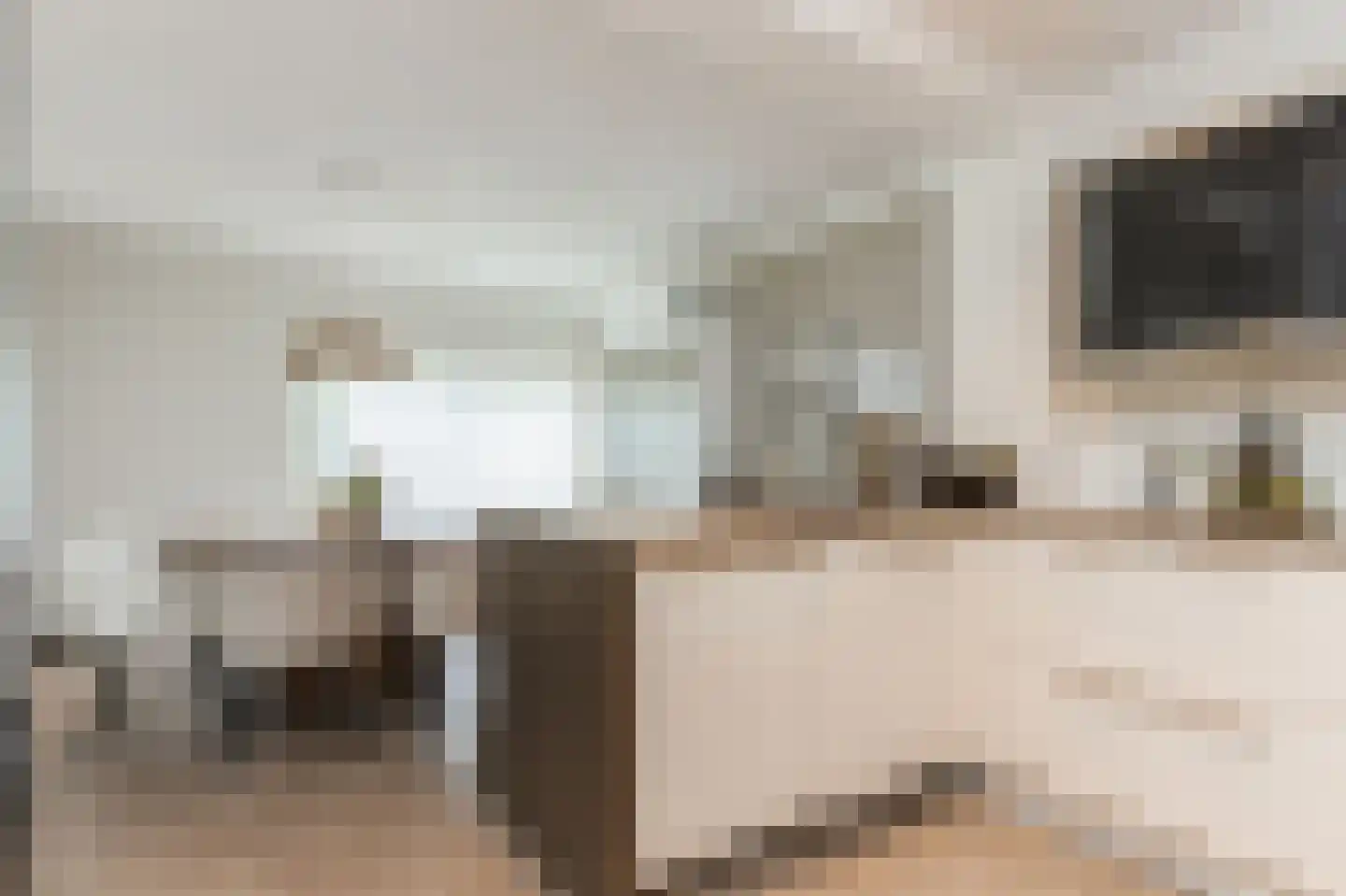 Hendrik Chabotstraat 1 Waalwijk thumbnail 24