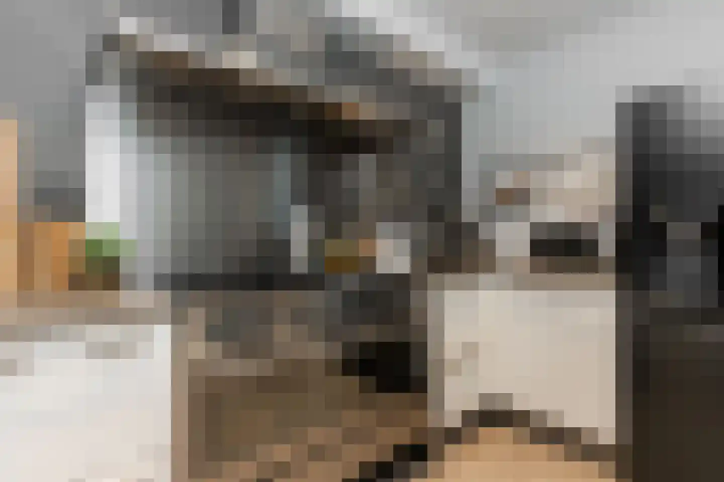Hendrik Chabotstraat 1 Waalwijk thumbnail 25