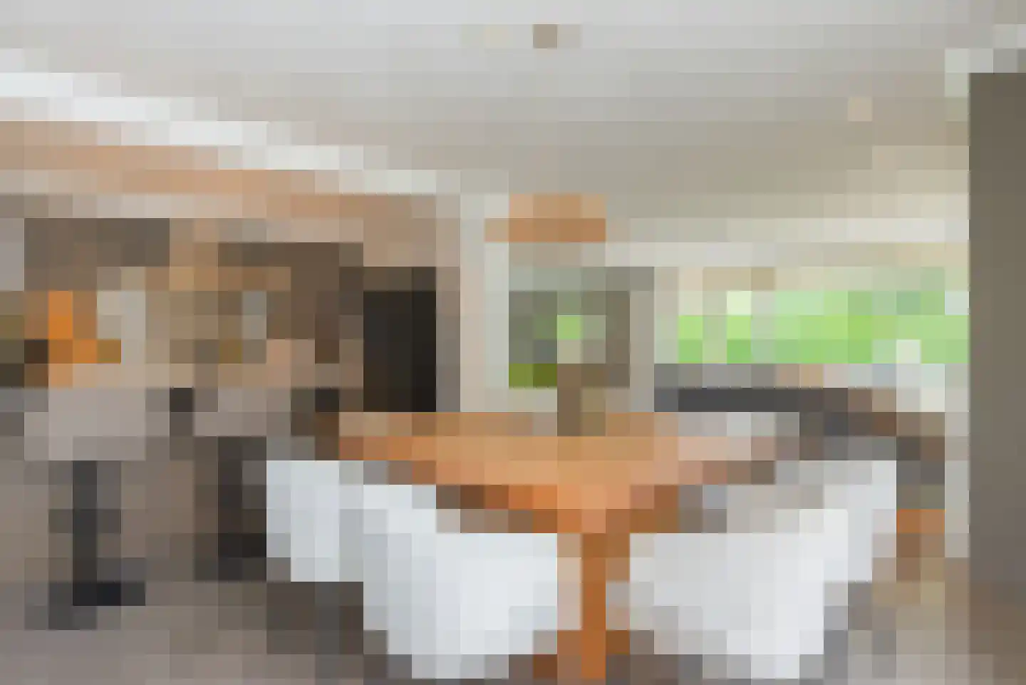 Hendrik Chabotstraat 1 Waalwijk thumbnail 26