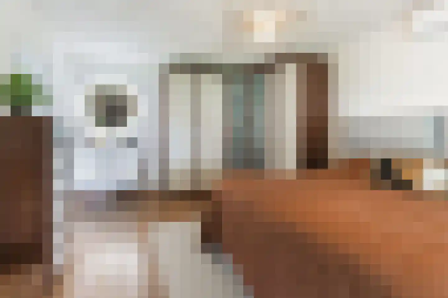 Hendrik Chabotstraat 1 Waalwijk thumbnail 28