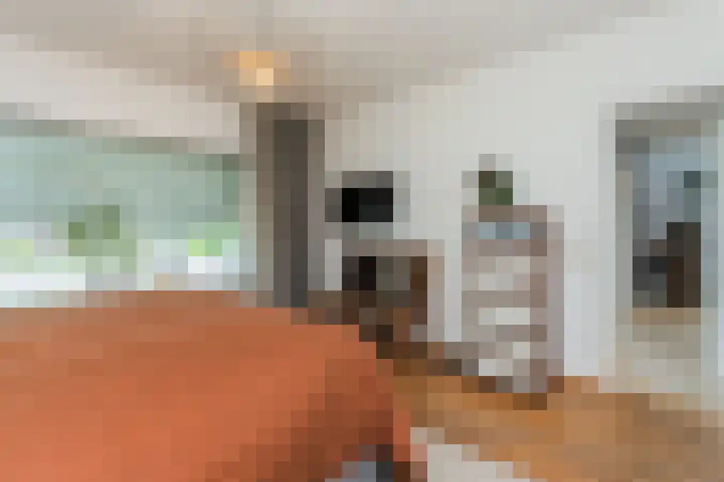 Hendrik Chabotstraat 1 Waalwijk thumbnail 29