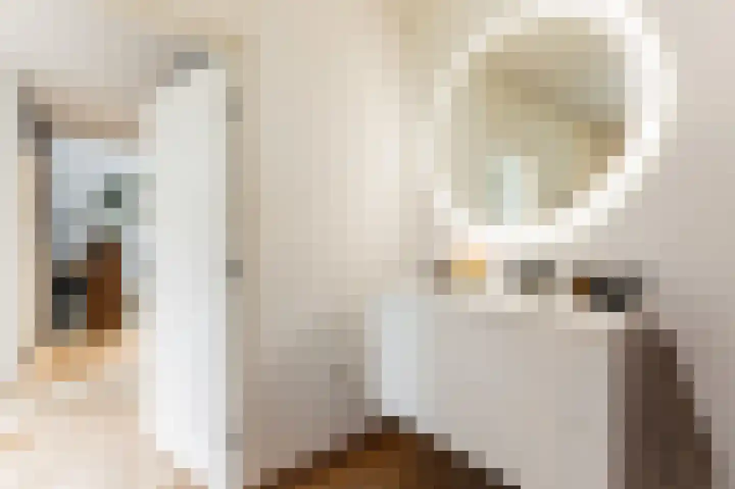 Hendrik Chabotstraat 1 Waalwijk thumbnail 30
