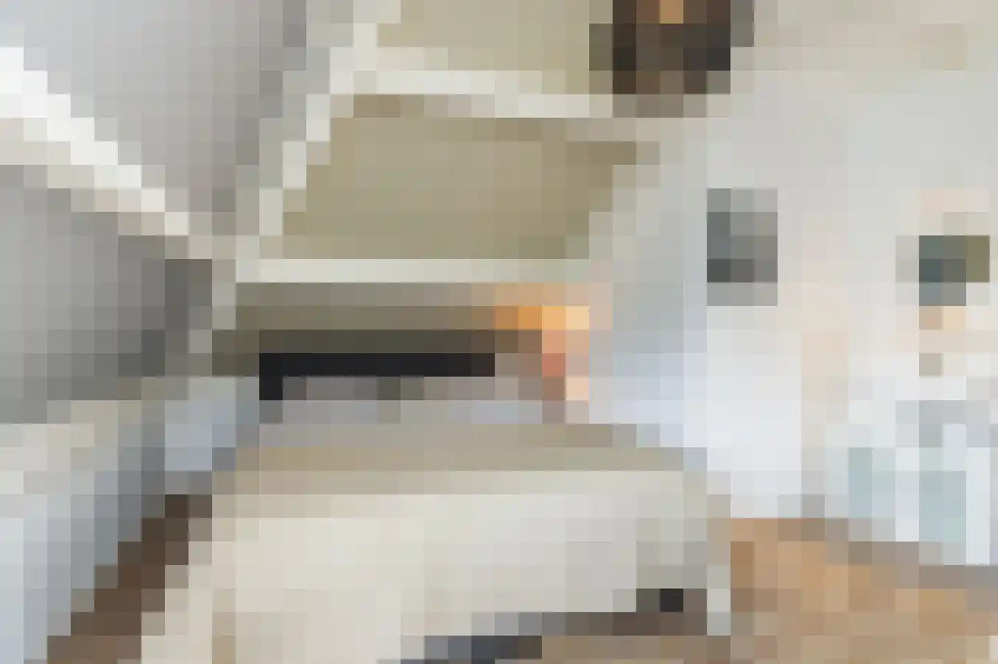 Hendrik Chabotstraat 1 Waalwijk thumbnail 39