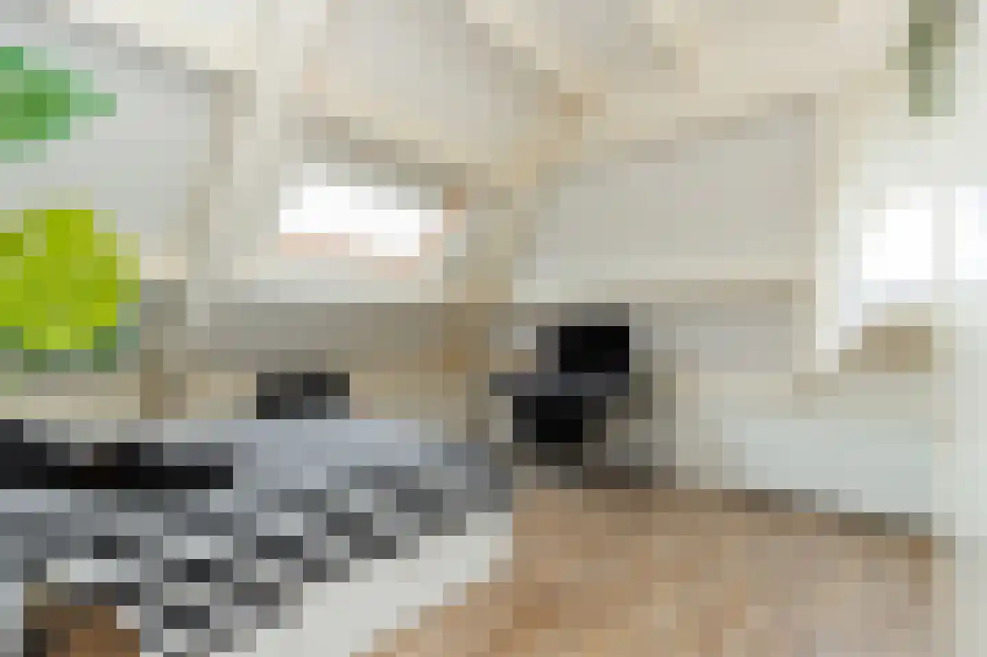 Hendrik Chabotstraat 1 Waalwijk thumbnail 41