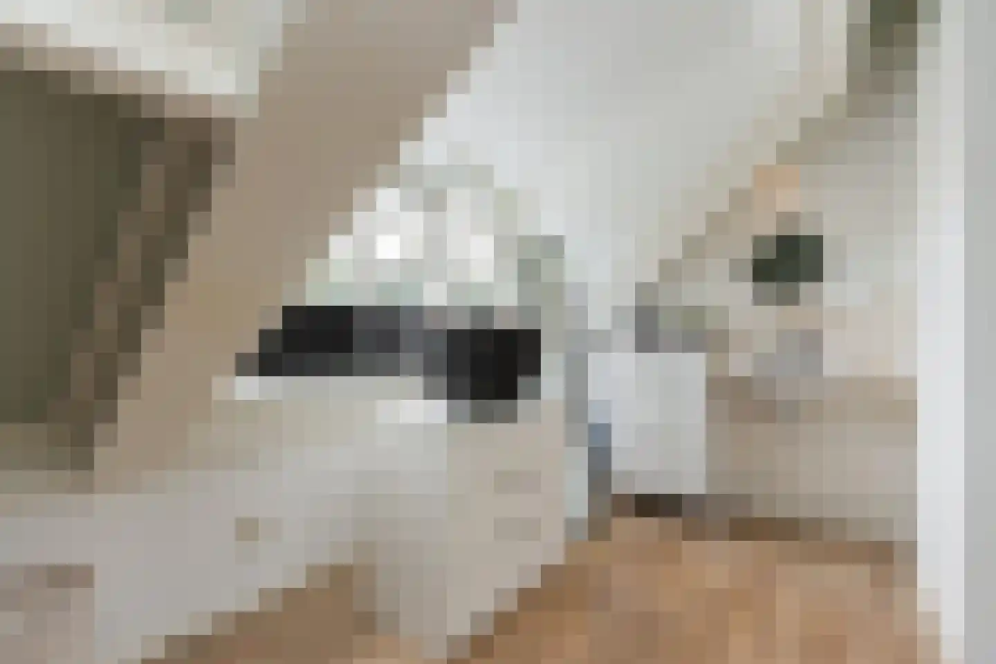 Hendrik Chabotstraat 1 Waalwijk thumbnail 44