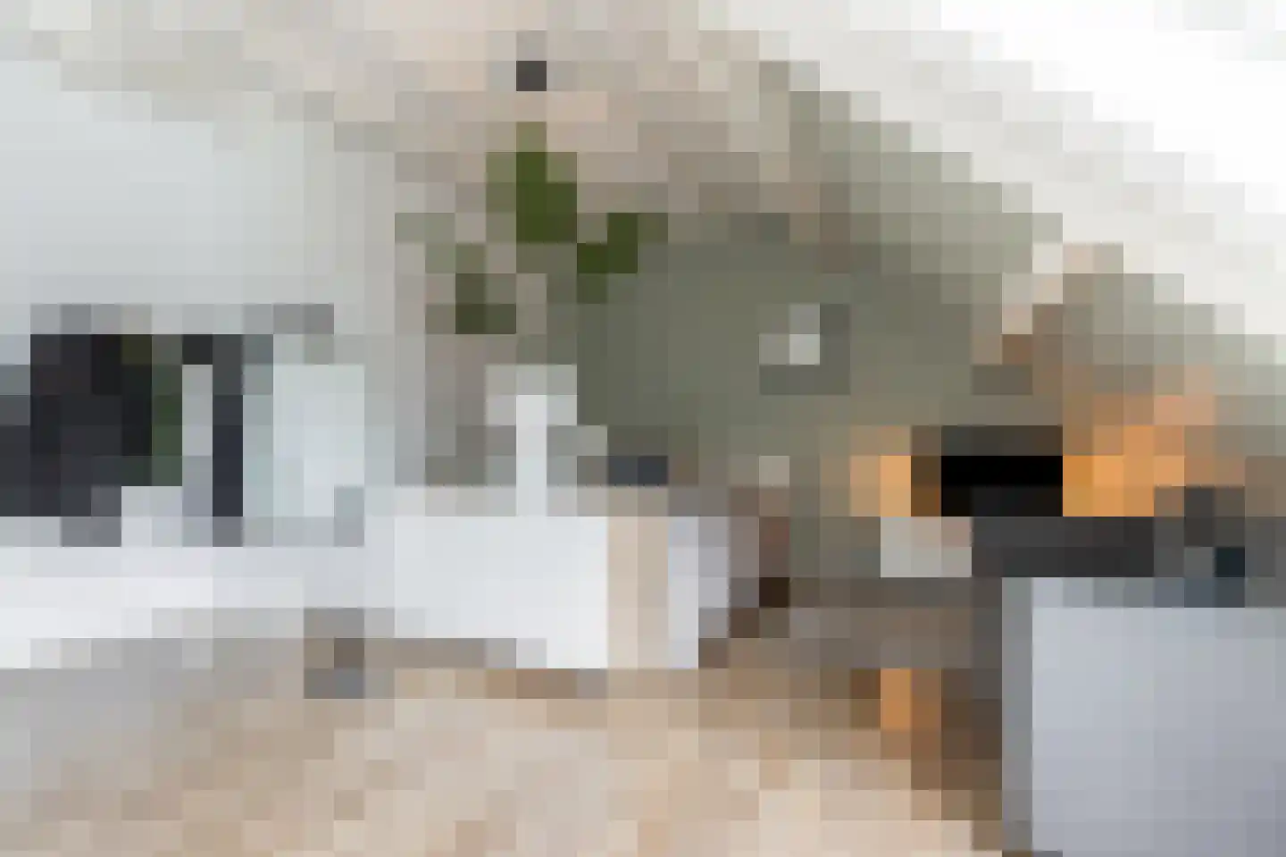 Hendrik Chabotstraat 1 Waalwijk thumbnail 45